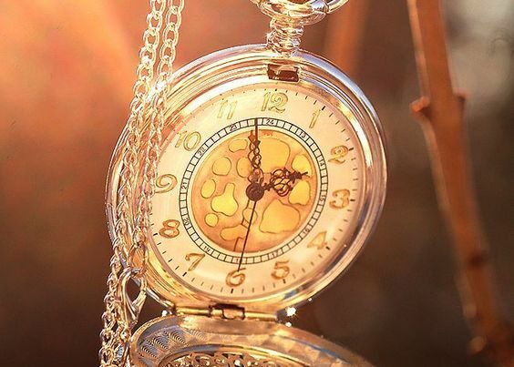 Combien de temps dure un entretien de chaudière annuel ?